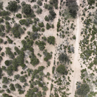 DJI 20240319120533 0173 V