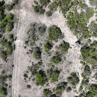 DJI 20240328151547 0115 V